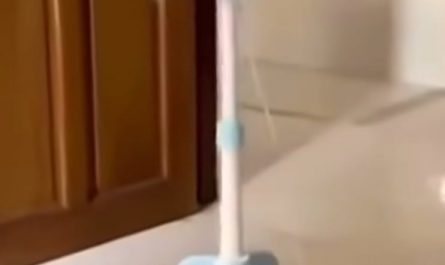 Fan exits after finishing its work in the room