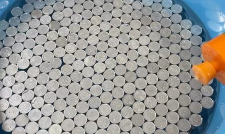 Floating coins start sinking when the surface tension is broken