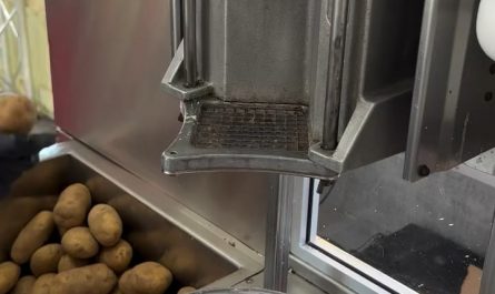 Freshly cut french fries