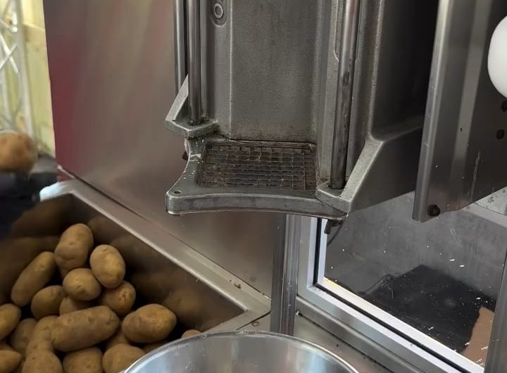 Freshly cut french fries