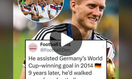 From World Cup glory to conquering -19°C mountains