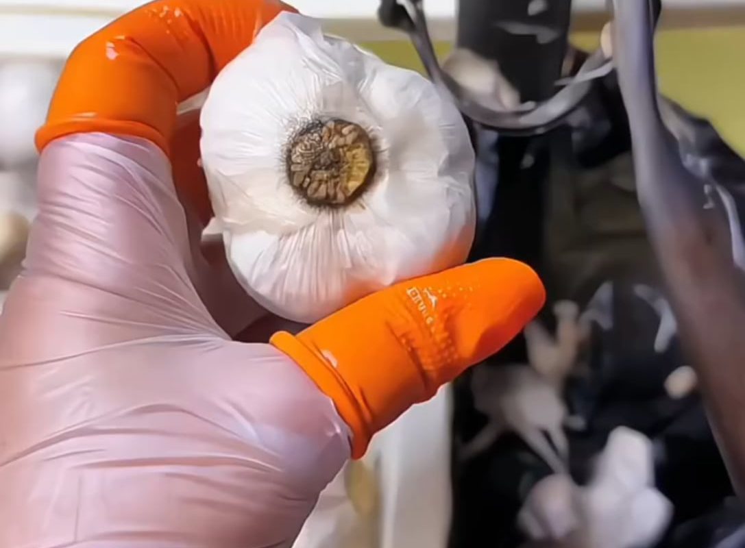 Garlic being peeled flawlessly with tweezers