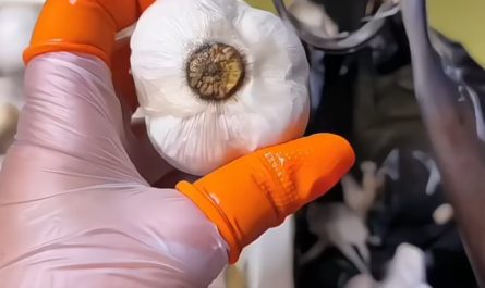 Garlic being peeled flawlessly with tweezers