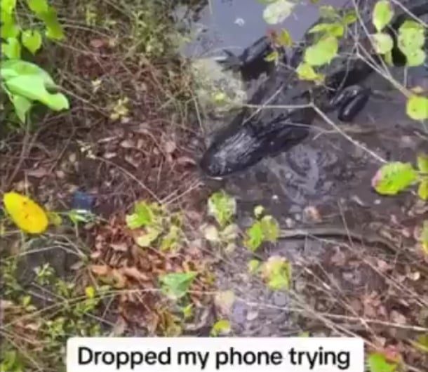 Gator didn’t want to be filmed