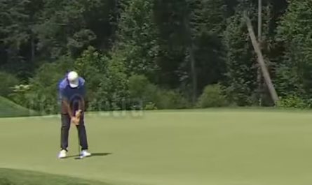 Golphist won more than two million dollars thanks to a fly