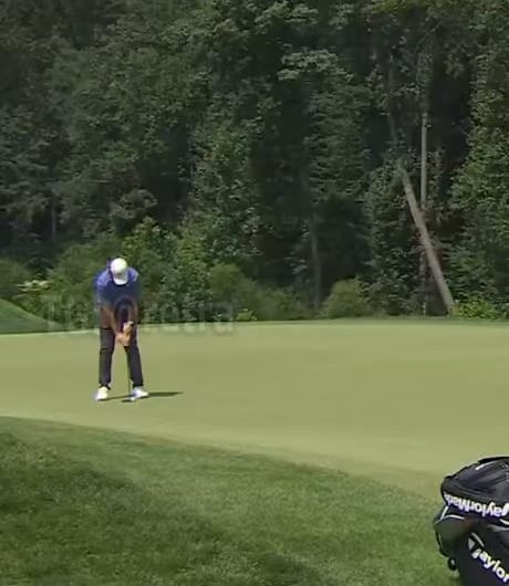 Golphist won more than two million dollars thanks to a fly