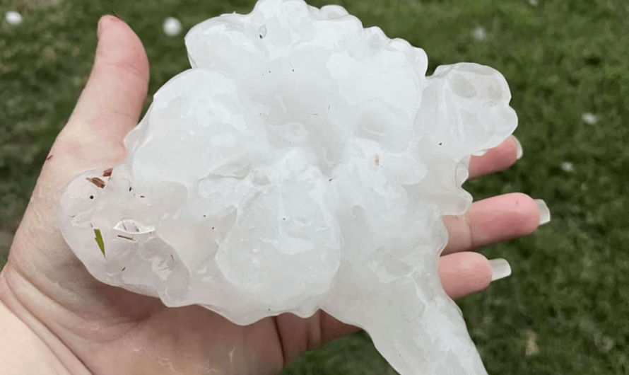 Hailstones in Brisbane Australia yesterday