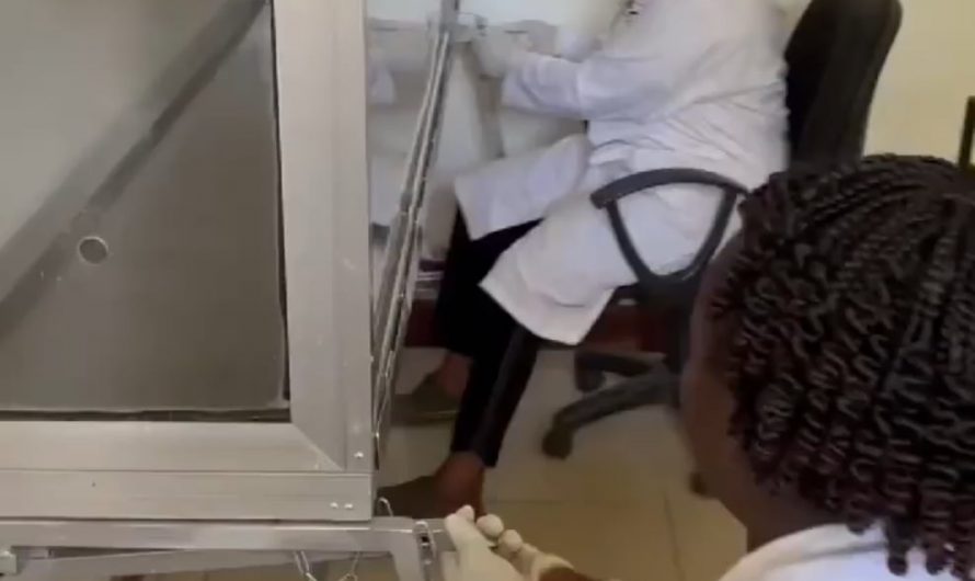 “HeroRATs” are trained African giant pouched rats that detect tuberculosis in just 3 seconds using their powerful sense of smell: fast, accurate, and life-saving. 🐀