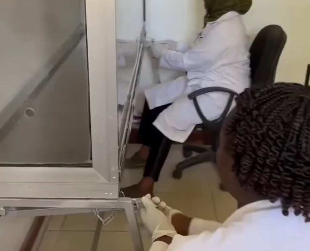 "HeroRATs" are trained African giant pouched rats that detect tuberculosis in just 3 seconds using their powerful sense of smell: fast, accurate, and life-saving. 🐀