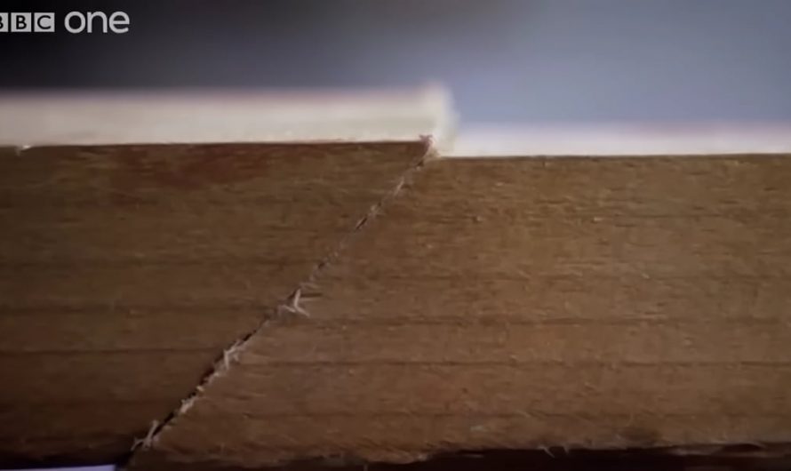 How earthquakes trigger Tsunami