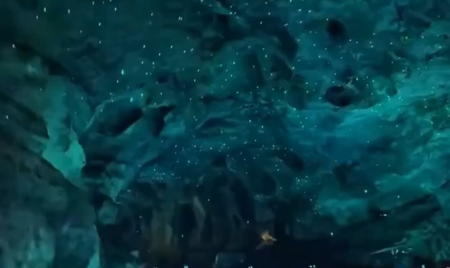 Huanglong Cave in Zhangjiajie, a breathtaking karst cave with glowing formations and boat-accessible underground rivers.