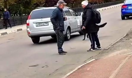 I don’t even know what to title this