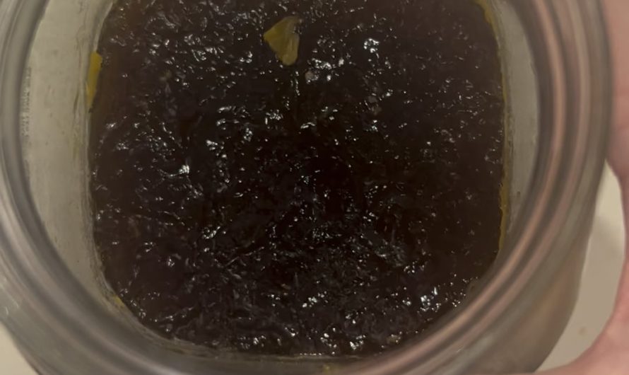 I made some bone broth and it’s REAL gelatinous