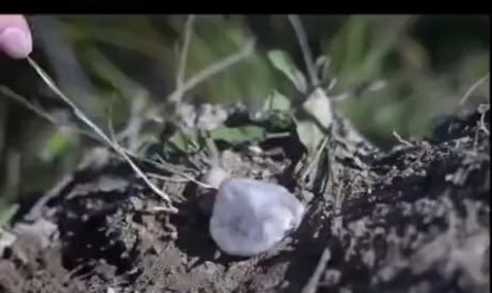 I think it’s wild that we went from stone age living to creating stuff like this out of sand