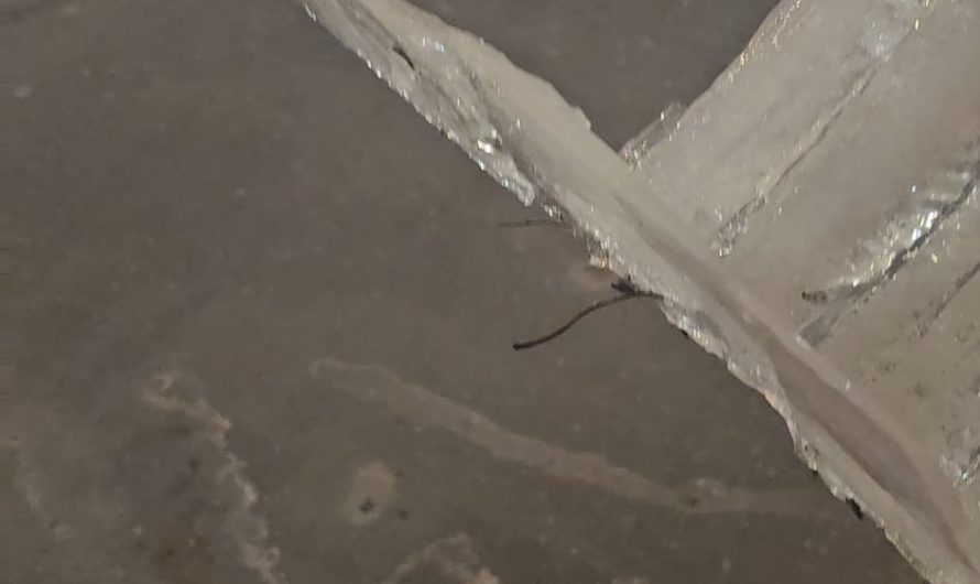 Ice smashed on concrete