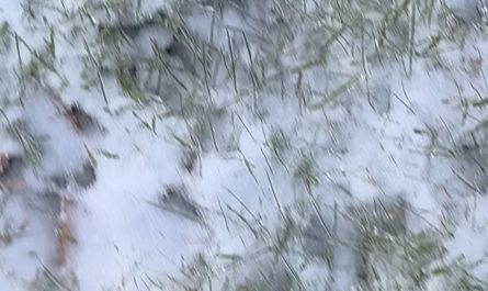 Ice storm, people wanted more of the icey crunchy ASMR goodness so I released my inner child to play. Obviously SOUND ON.