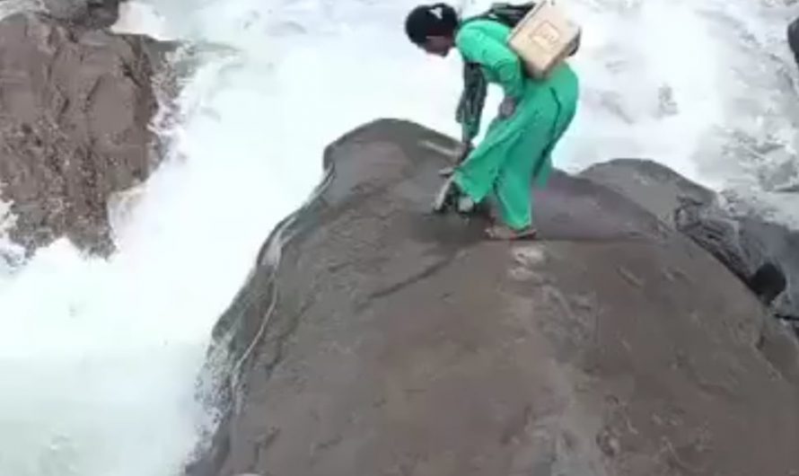 In Himachal Pradesh in the northern part of India, a nurse named Kamla Devi bravely crosses a raging river to tend to and vaccinate a newborn. “I was worried about the baby. The mother couldn’t come for immunization because of the weather. So, I thought I should reach them,” she told a newspaper.