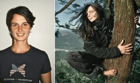 In the late 1990s, Julia Hill lived in a 200 foot tall, 1,000 year old redwood tree for 738 days. She did it to protect the tree, and in the end, the logging company agreed to save it and the area around it.