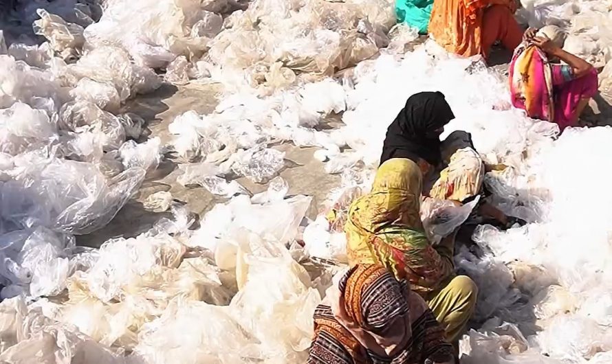 Incredible process of recycled plastic ♻️