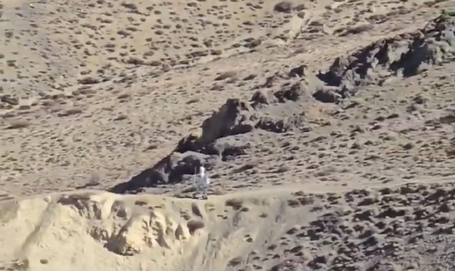 Indian border troops recently noticed that China had replaced its soldiers with robot units in the Himalayas, a move driven by the brutal cold, low oxygen, and harsh high-altitude conditions.