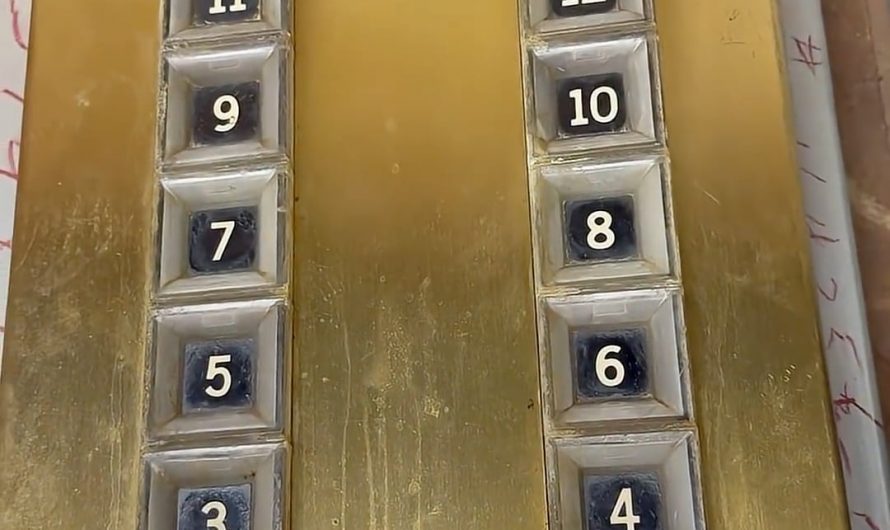 Inside antique touch sensitive elevator buttons made by Otis. These are primitive capacitive touch buttons and use neon tubes to activate.  These are at the elevator museum and somebody from another group said this belongs here because it is interesting as fuck.