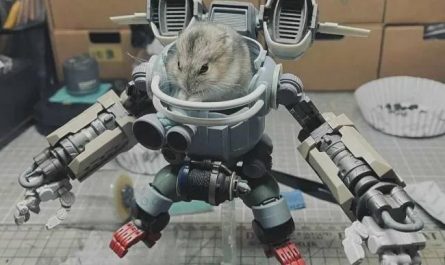 It Was Only A Matter of Time Really.