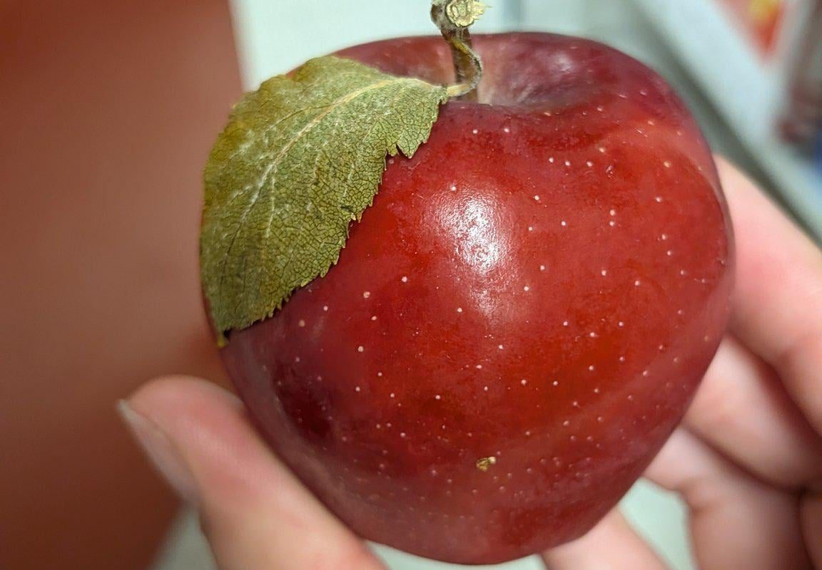 I've never seen a more apple looking apple