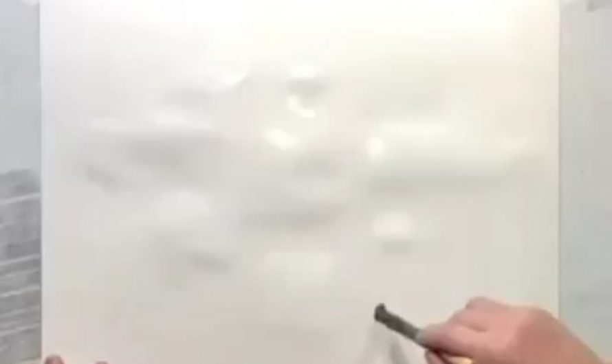 James Zucco is a visual artist creating stunning artworks using only water and ink.