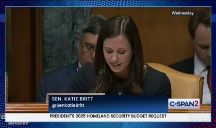 Jon Stewart asks why the GOP's "one is too many" logic applies only to immigrants and not mass shootings