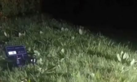 Laser technology used to eliminate Mosquitoes safely.