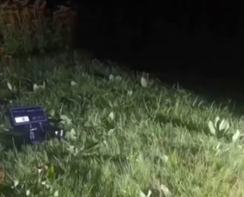 Laser technology used to eliminate Mosquitoes safely.