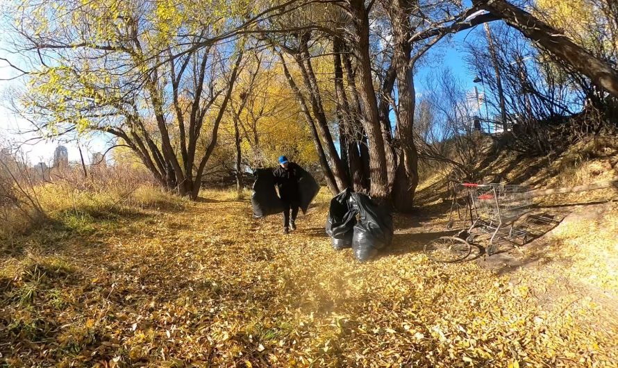 Litter cleanup I did in Calgary, Alberta. 273 Pounds!