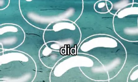 Lobster Said are technically immortal...ish