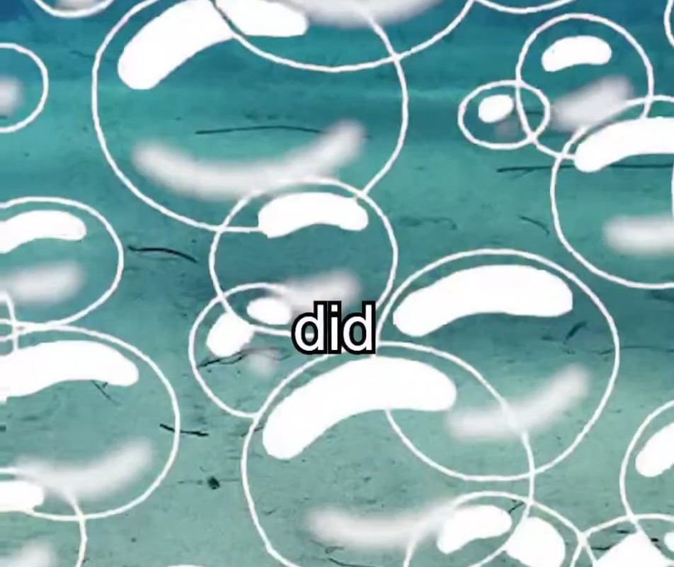 Lobster Said are technically immortal...ish