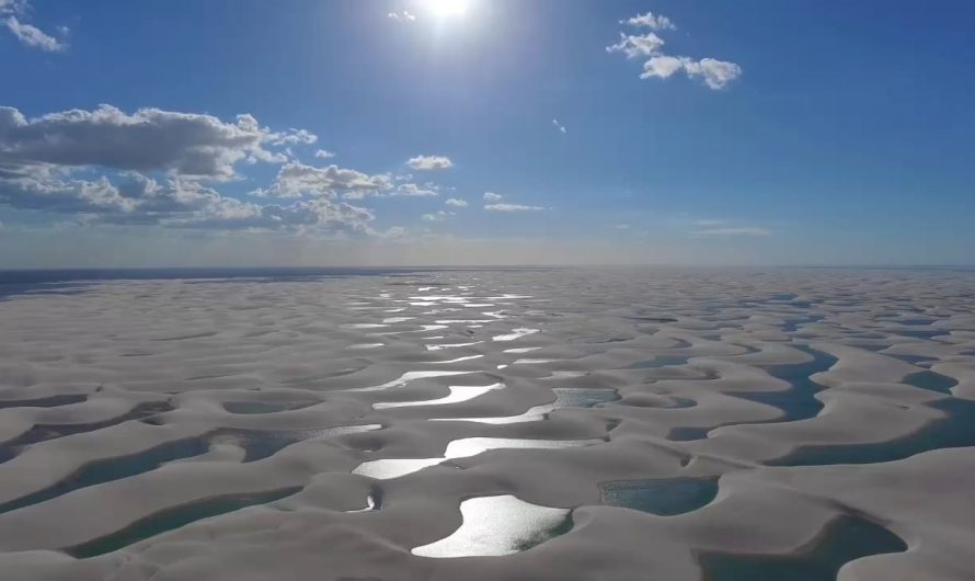 Looks like a desert with thousands of lakes – Brazil’s Lençóis Maranhenses creates thousands of lagoons after the rain