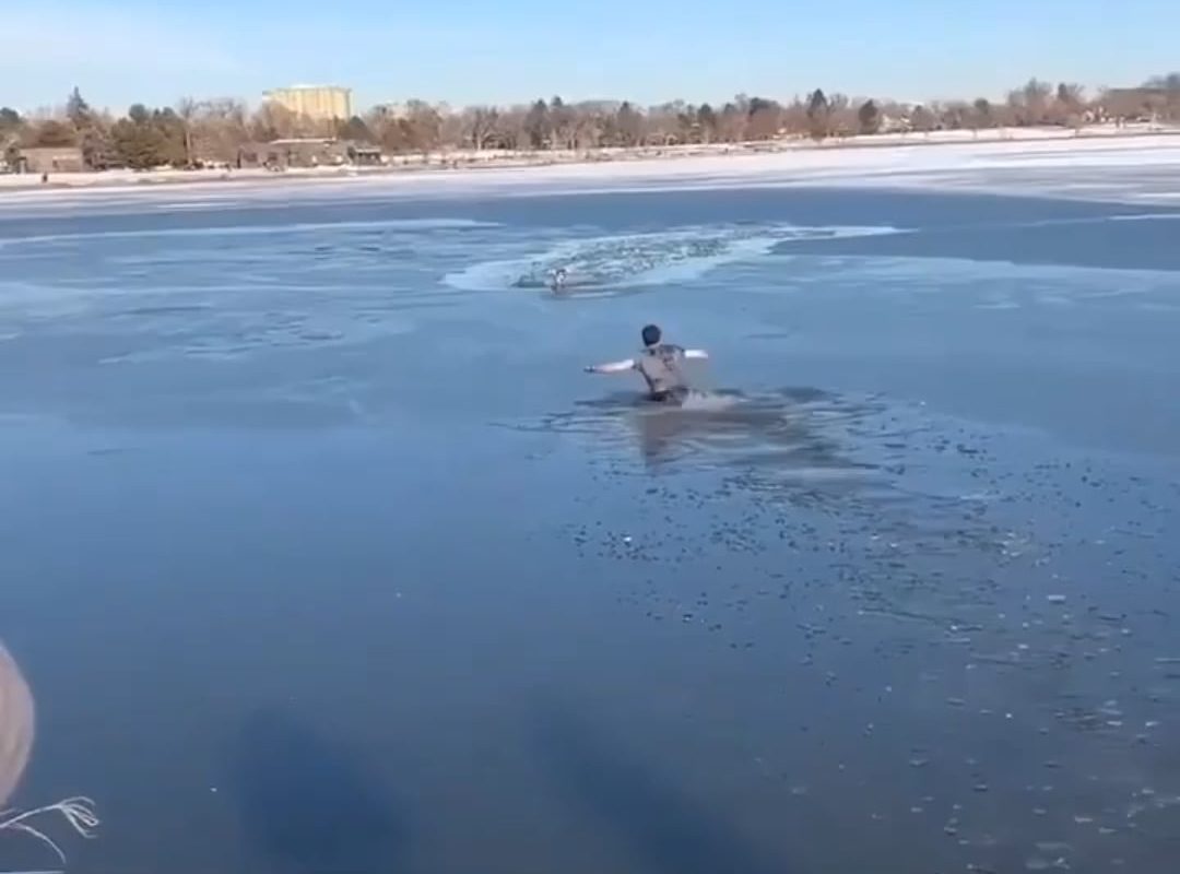 Man jumps into a frozen lake to rescue a dog.