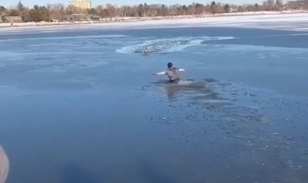 Man jumps into a frozen lake to rescue a dog.