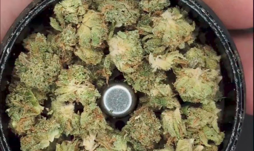 Milling Flowers | 2×