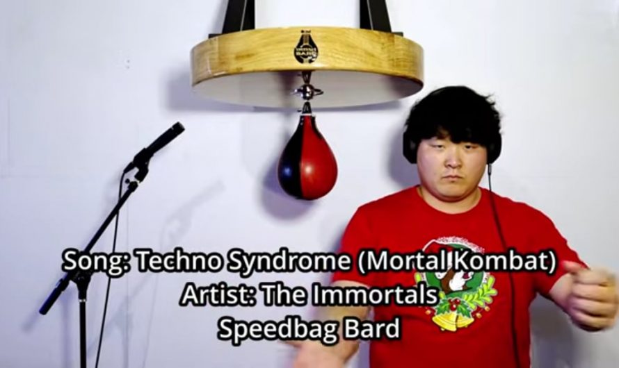 Mortal Kombat – Speed Bag Cover