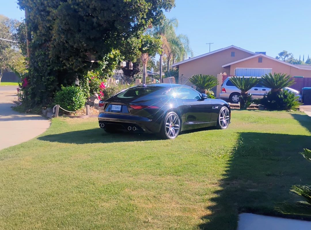 My baby looking good