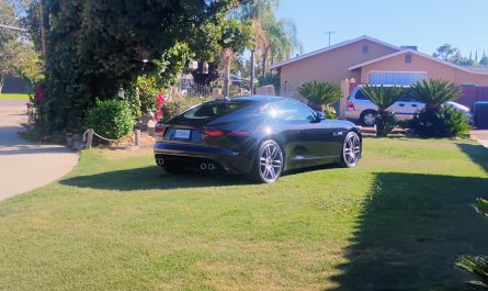 My baby looking good