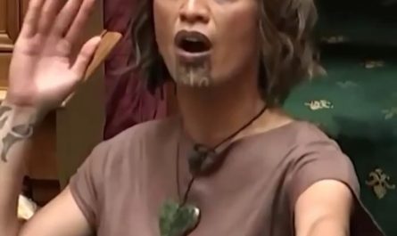 New Zealand parliament temporarily suspended after members break out into a spontaneous haka