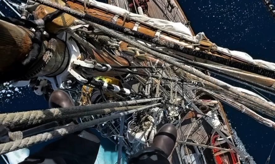 Not a bad place to work at!