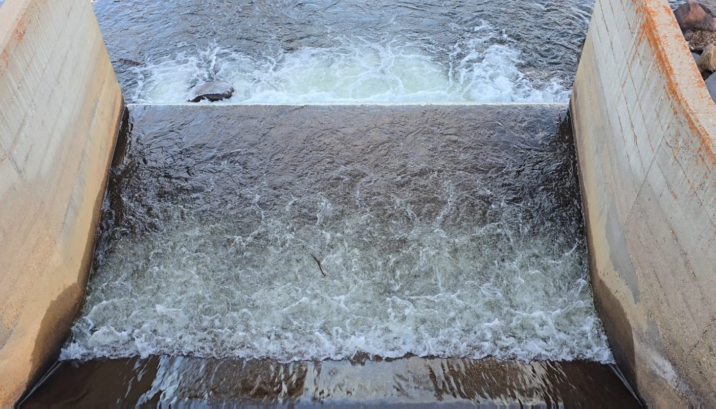 OC, I was mesmerized by the dance of this little stick caught in the current.