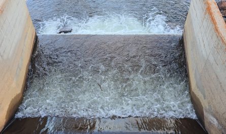 OC, I was mesmerized by the dance of this little stick caught in the current.