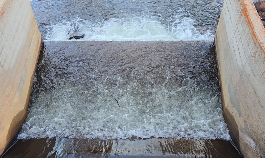 OC, I was mesmerized by the dance of this little stick caught in the current.