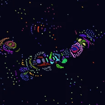 [OC] Multi-Cellular "Organisms" Have Grown Within my Particle Simulation