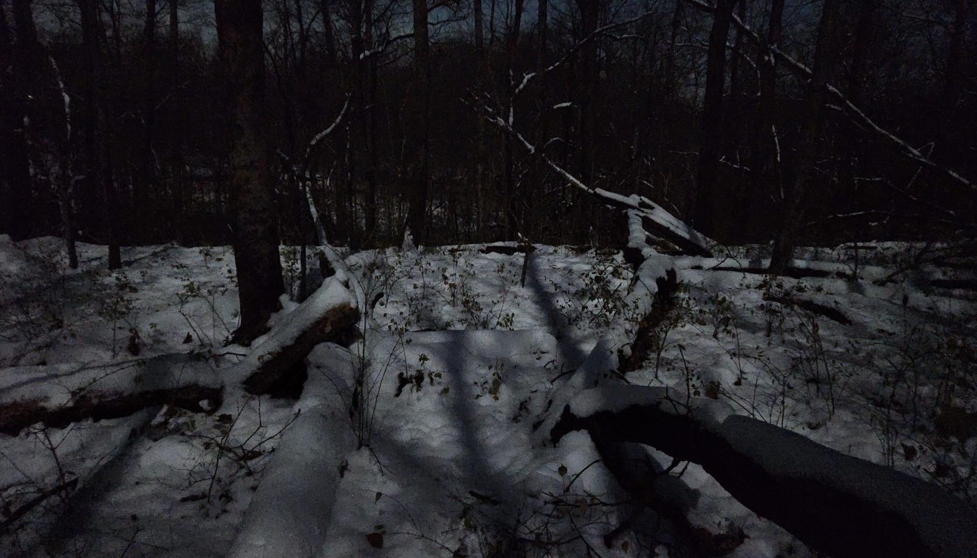 [OC] The moon is so bright with the snow that I can see where I'm going in the Ohio woods
