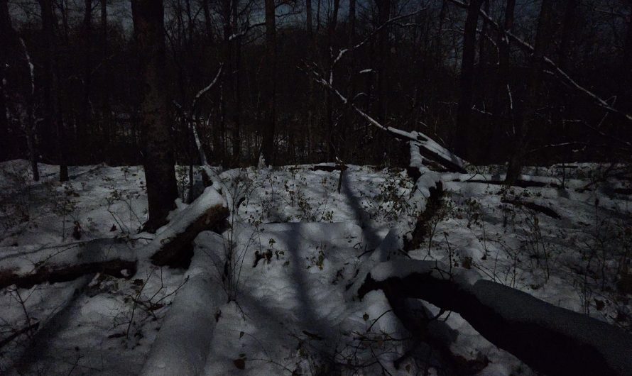 [OC] The moon is so bright with the snow that I can see where I’m going in the Ohio woods