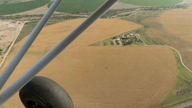 On Farmland That Looks Like A Pacman.